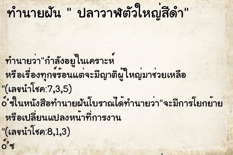 ทำนายฝันปลาวาฬตัวใหญ่สีดำ ทำนายฝันทำนายฝันปลาวาฬตัวใหญ่สีดำ